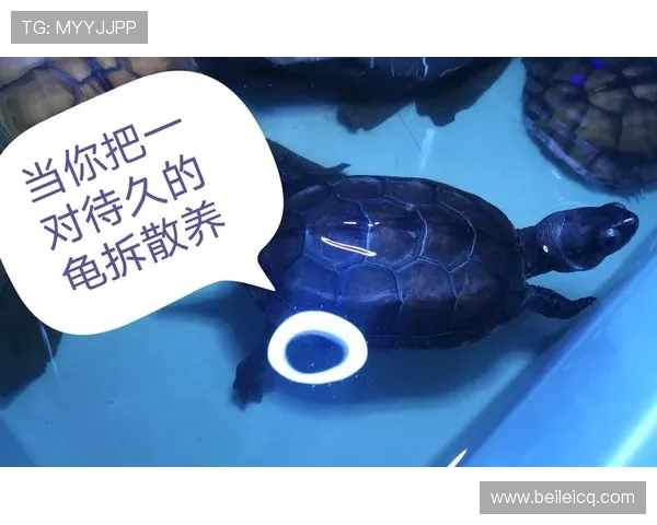 鍩冩柉鐗规椇锛氬姞鐩熷垏灏旇タ鏄ⅵ鎯虫垚鐪燂紝娓存湜灏藉揩铻嶅叆鐞冮槦