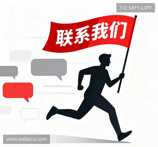 项目咨询
